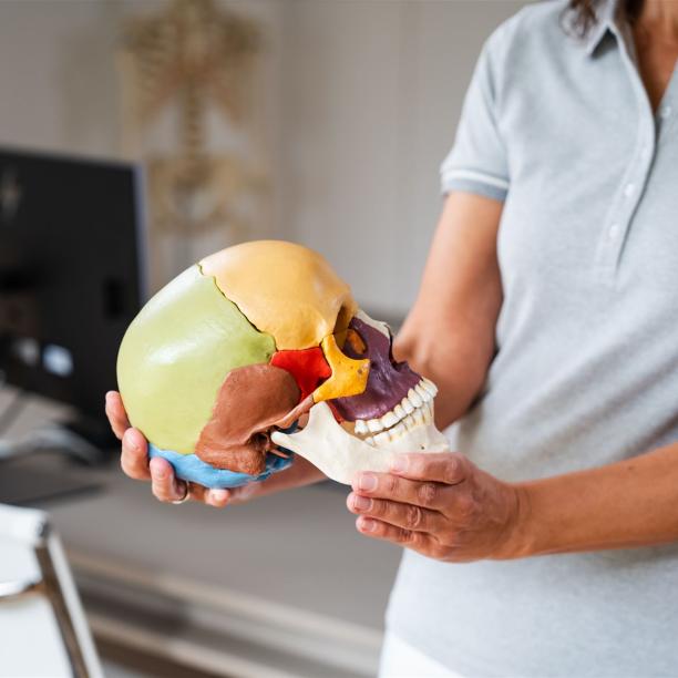 Faszination für Anatomie und den menschlichen Körper